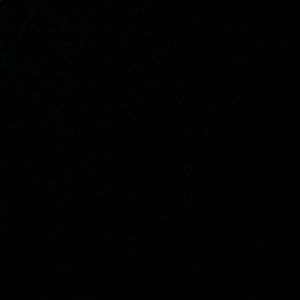 Meet your Posher, Hunter